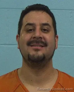 Booking photo from Williamson County, Texas