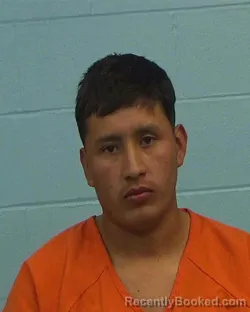 Mugshot of Auner Garcia-Mejia