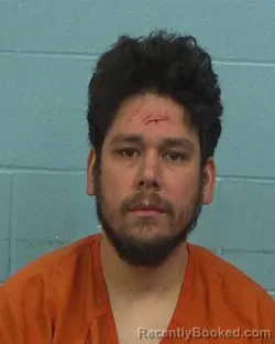 Mugshot of Zackory Kane Silva