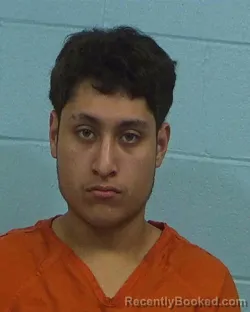 Booking photo from Williamson County, Texas