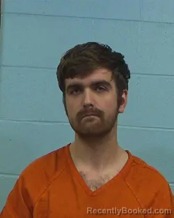 Booking photo from Williamson County, Texas