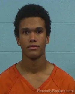 Mugshot of Nathaniel Elias Fields