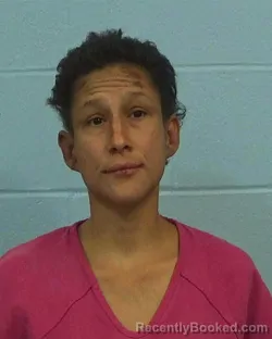 Mugshot of Julie Navejar