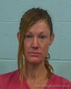 Mugshot of Christine Morgan Small