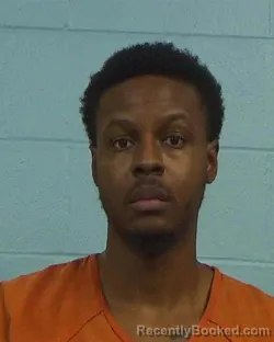 Mugshot of Desmond Lavoy Rice