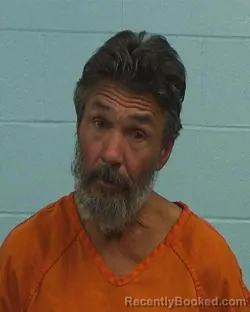 Mugshot of Howard Lebron McCallie