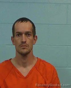 Mugshot of Skye Tanner Runyon