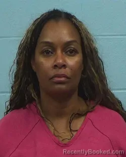 Mugshot of Krista Zein McBayne