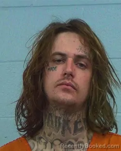 Mugshot of Christopher Seth Briggs