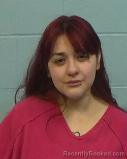 Mugshot of Chastity Alizee Rios-Vela