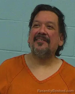 Booking photo from Williamson County, Texas