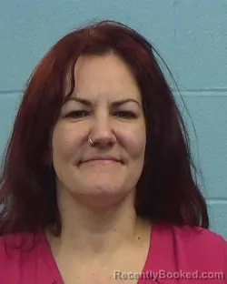 Mugshot of Dani Lynn Van Valin