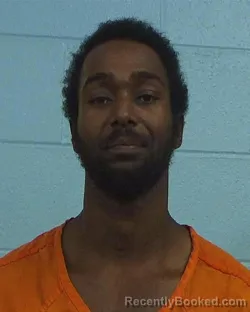 Mugshot of Jimmie Marion Bobbitt-Alley