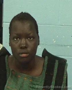 Booking photo from Williamson County, Texas