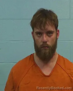 Booking photo from Williamson County, Texas