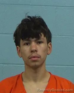 Mugshot of Logan Mitchell Kelly