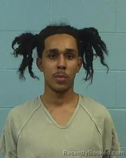 Booking photo from Williamson County, Texas