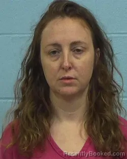 Booking photo from Williamson County, Texas