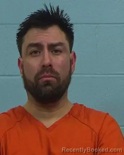 Booking photo from Williamson County, Texas