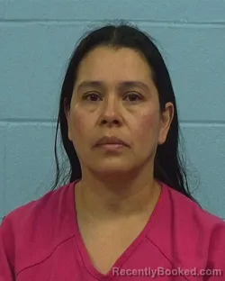 Mugshot of Rebeca Orellana Morales