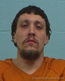 Mugshot of Roy Dennis Ford