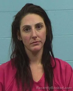 Booking photo from Williamson County, Texas