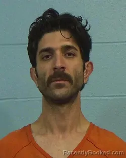 Mugshot of Ali Nazem