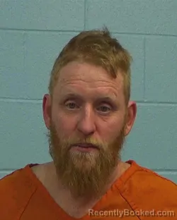 Mugshot of Michael Lester Tolleson