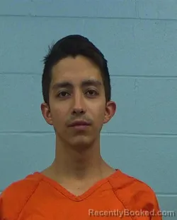 Booking photo from Williamson County, Texas