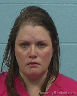 Booking photo from Williamson County, Texas