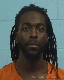 Booking photo from Williamson County, Texas