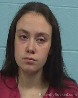 Booking photo from Williamson County, Texas