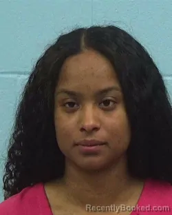 Booking photo from Williamson County, Texas