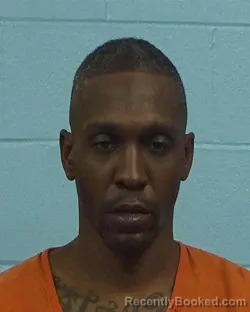 Mugshot of Donimea Desmone Bryant