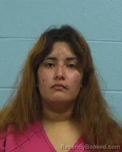 Mugshot of Dana Ybarra