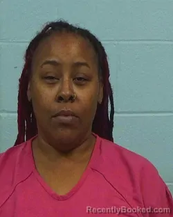 Booking photo from Williamson County, Texas