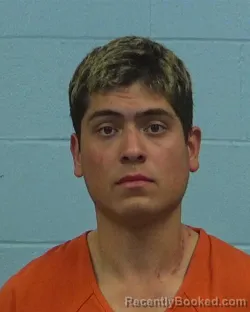 Mugshot of Connor Matthew Cipollone