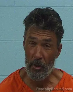 Mugshot of Howard Lebron McCallie booked in Williamson County, Texas on March 7, 2026