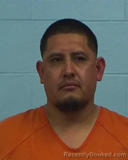 Mugshot of Luis Mendez Zavala booked in Williamson County, Texas on March 7, 2026