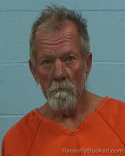 Mugshot of Robert Louis Schultz booked in Williamson County, Texas on March 8, 2026