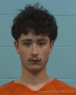 Mugshot of Emilio Luna-Perez booked in Williamson County, Texas on March 8, 2026