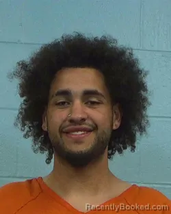 Mugshot of Jaguar Williams booked in Williamson County, Texas on March 8, 2026