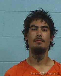 Mugshot of Ruben Davila booked in Williamson County, Texas on March 8, 2026