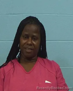 Mugshot of Stacy Dionne Jones booked in Williamson County, Texas on March 8, 2026