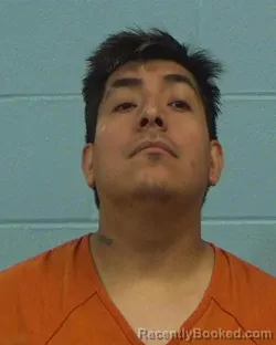 Mugshot of Hugo Leyva Millan booked in Williamson County, Texas on March 10, 2026