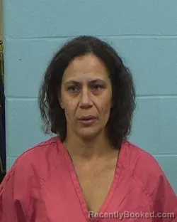 Mugshot of Sara Marie Chance booked in Williamson County, Texas on March 10, 2026