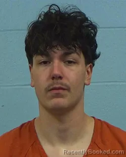 Mugshot of Shane Holden Rodriguez booked in Williamson County, Texas on March 10, 2026