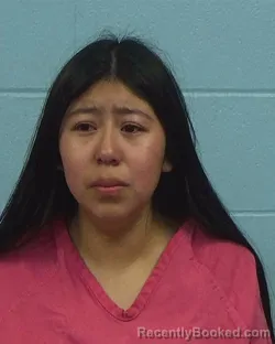 Mugshot of Darolyn Yadira Paxtor-Vicente booked in Williamson County, Texas on March 10, 2026