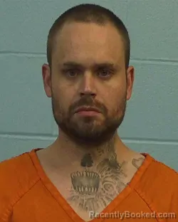 Mugshot of Dustin John Vanalstyne