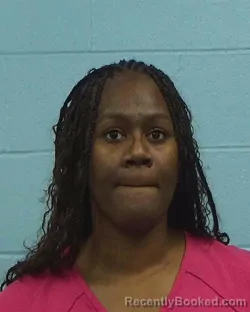 Mugshot of Toni Renee Bocz booked in Williamson County, Texas on March 13, 2026